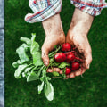 The Advantages and Disadvantages of Organic Farming