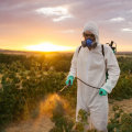 The Truth About Organic Foods and Pesticides: An Expert's Perspective