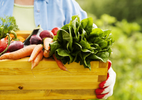 The Top 10 Reasons Why You Should Incorporate Organic Food into Your Diet