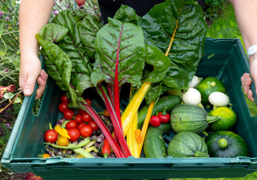 The Benefits of Choosing Organic Foods