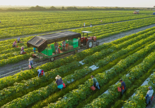 The Truth About Organic Farming: Debunking the Risk Stereotype