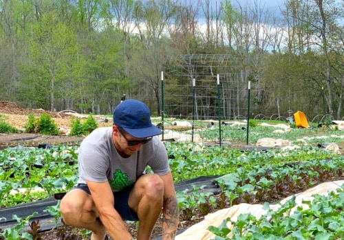 The Pros and Cons of Organic Farming: An Expert's Perspective