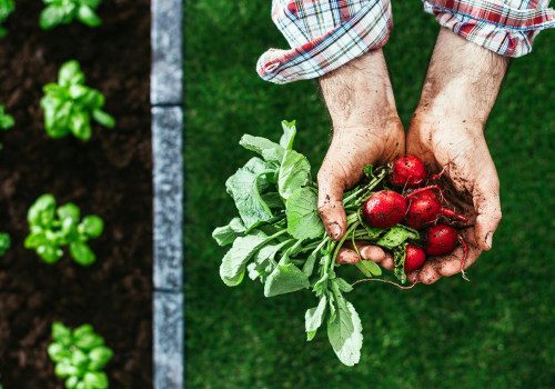 The Advantages and Disadvantages of Organic Farming