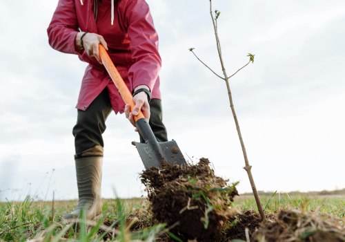 The Benefits of Organic Farming: A Sustainable Alternative