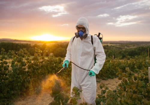 The Truth About Organic Foods and Pesticides: An Expert's Perspective