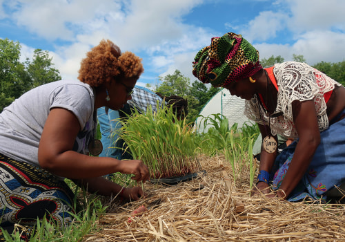 Top Organic Farming Techniques At The Largest Black-Owned Organic Farm Ranch Near Los Angeles CA