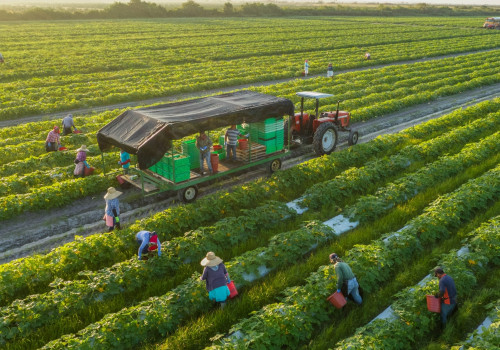 The Evolution of Organic Farming: Understanding the National List