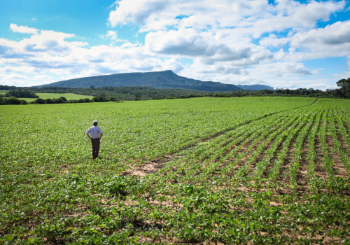 The Forbidden Practices in Organic Farming