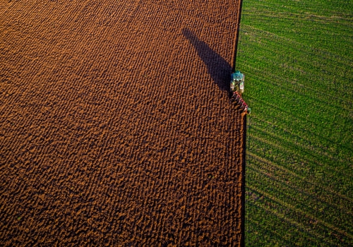 The Pros and Cons of Organic Farming: An Expert's Perspective