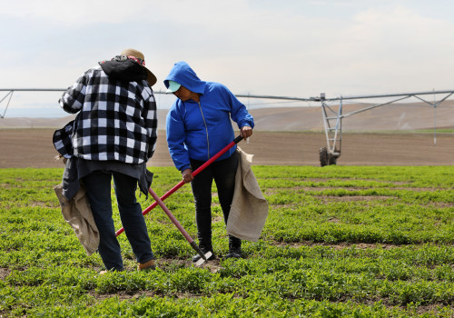 The Benefits of Organic Farming: An Expert's Perspective